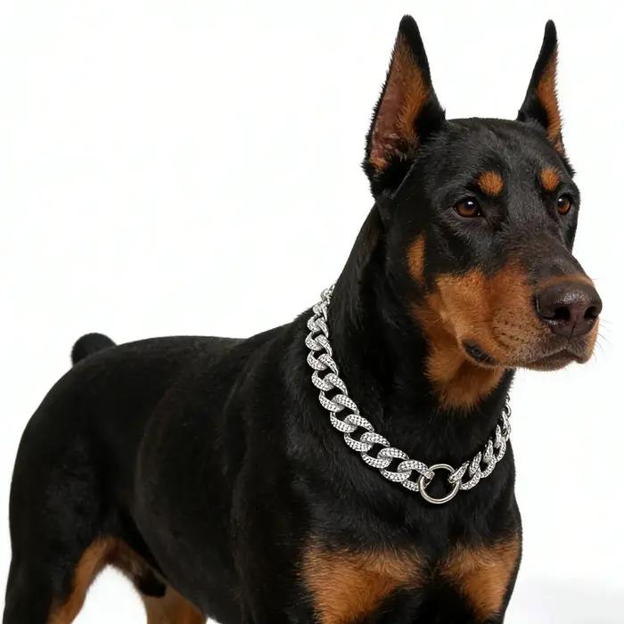 Chaîne de chien en or ABS pour petits et grands chiens