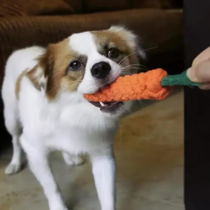 Jouet pour chiot en corde de coton tressée en forme de carotte
