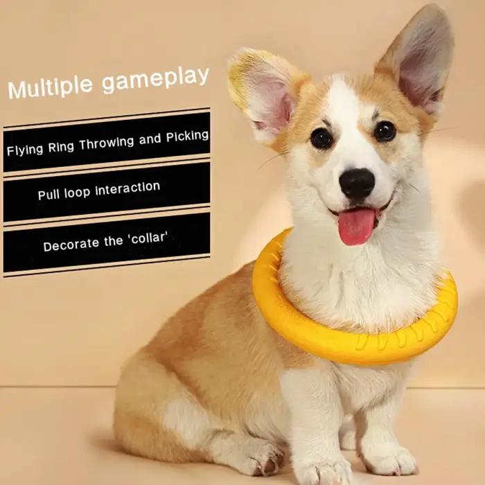 Jouets d'anneau pour chien