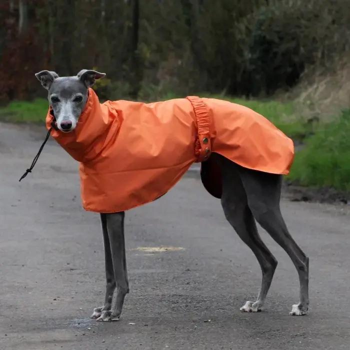 Imperméable imperméable pour chien