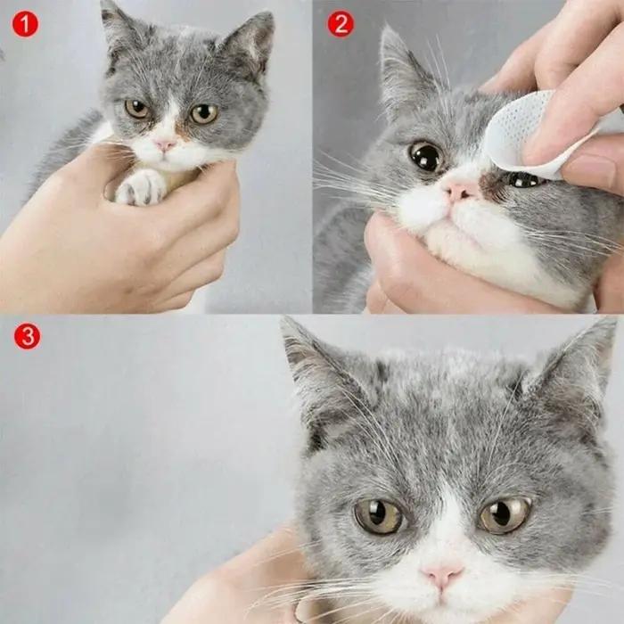 130 pièces/ensemble lingettes pour les yeux pour animaux de compagnie
