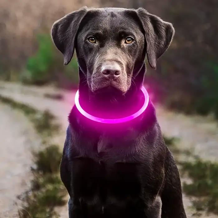 Collier lumineux LED pour chien de compagnie, Anti-perte, Rechargeable par USB