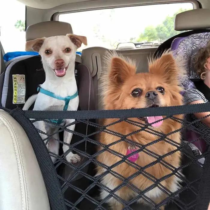 Filet de Protection d'isolation pour siège arrière de chien, clôture de voiture, filet de séparation de stockage élastique à Double couche, Rail de sécurité pour animaux de compagnie, fournitures pour
