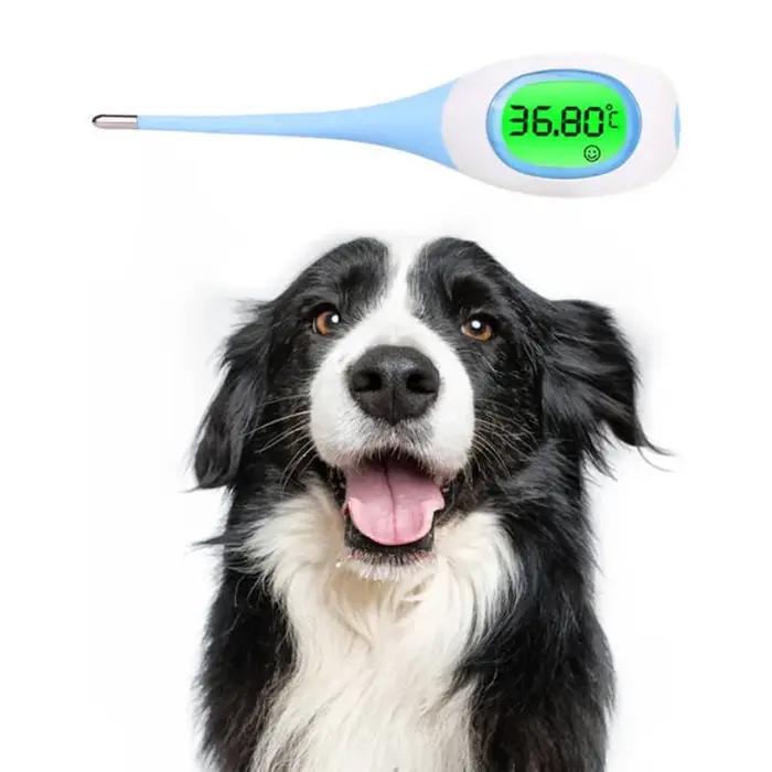 Thermomètre professionnel LED pour animaux de compagnie pour chiens et chats-thermomètre vétérinaire sec/humide sûr