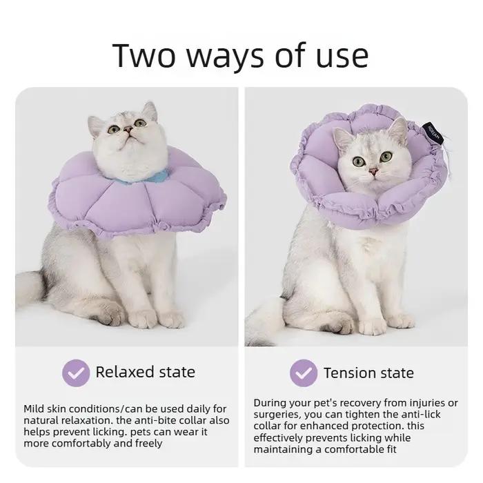 Collier anti-léchage pour chat et chien