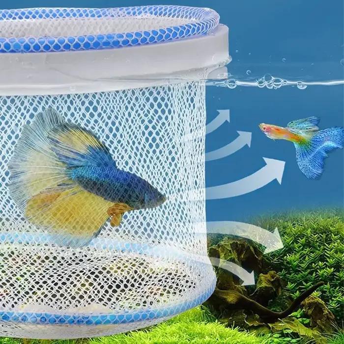 Équipement d'élevage filet d'élevage ventilé Guppy perméable Portable boîte d'isolation d'aquarium filet d'élevage en Nylon aquarium