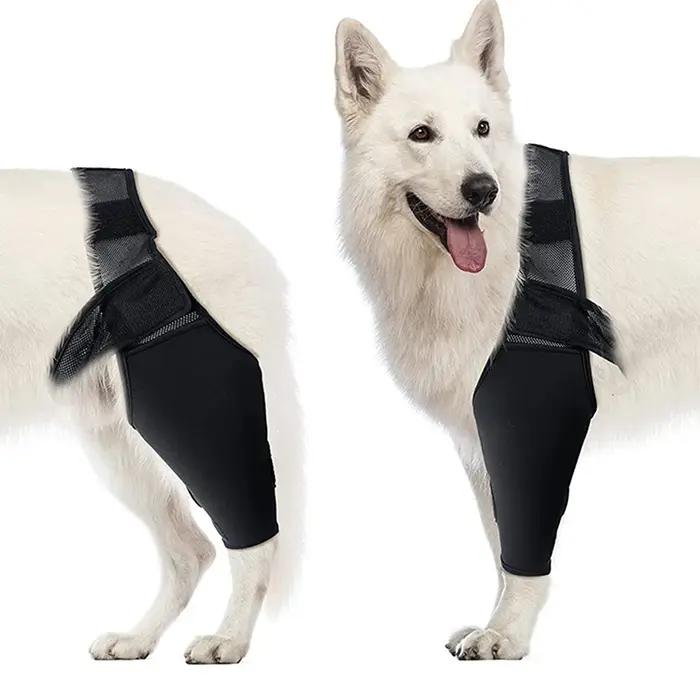Genouillères de soutien pour chiens de récupération post-opératoire, protection articulaire et maintien du confort pour chiens de différentes races et tailles