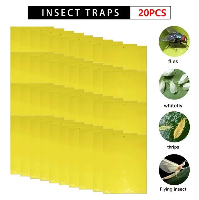 Pièges collants double face pour insectes volants, panneau de piège à mouches de fruits, multiple, c