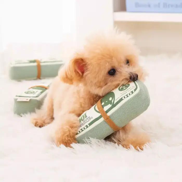 Jouet en peluche billet de banque pour chiens amusant et distrayant pour réduire l'anxiété de séparation et l'ennui occaions de jeu quotidien voyage