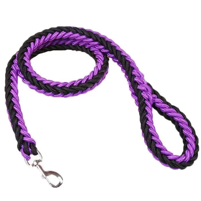 Laisse en nylon pour chiens de taille moyenne et grande