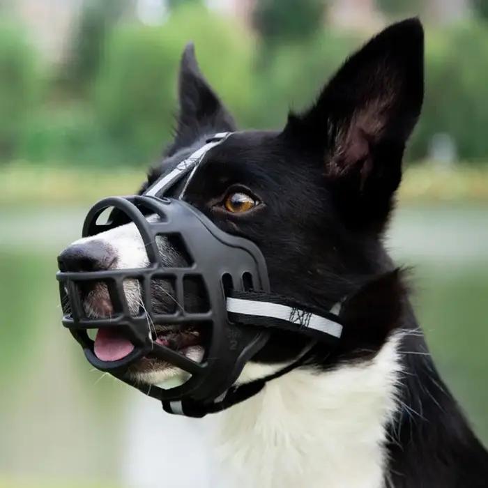 Muselière réglable pour chien en plastique respirant avec bandes réfléchissantes pour chiens de différentes tailles sécurité visibilité nocturne occasions spéciales