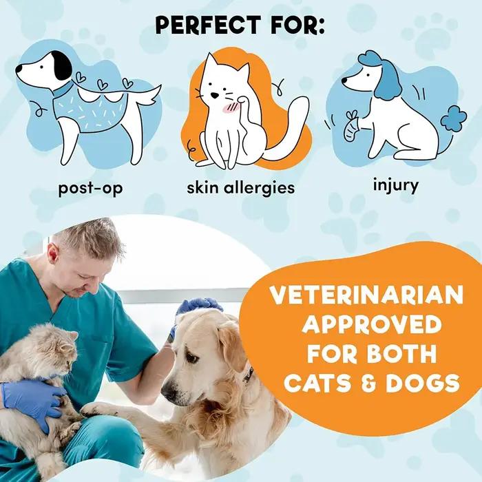Collier de protection gonflable pour chien après chirurgie