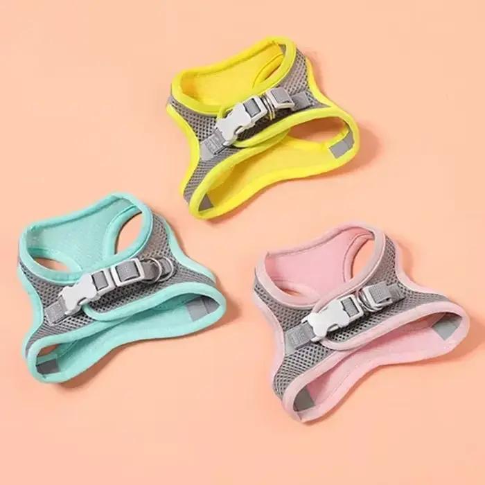 Accessoires pour chiens et chats
