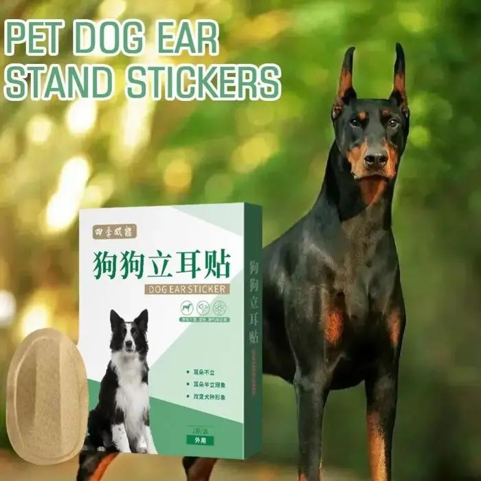 Autocollants pour oreilles de chien, lot de 2 pièces, fournitures de soins, efficace
