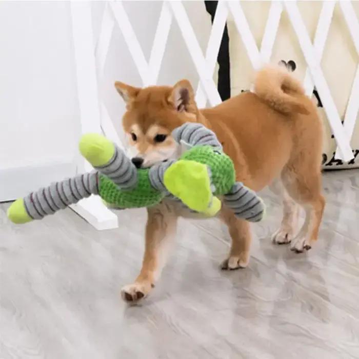 Jouets sonores indestructibles pour grands chiens