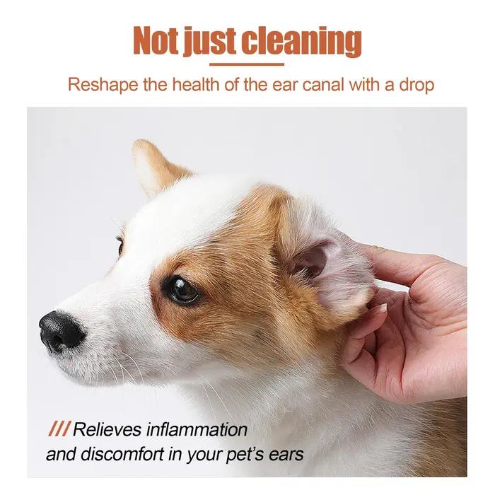 Nettoyant pour oreilles d'animaux YEGBONG pour chiens chats soulagement des infections prophylaxie hygiène auditives solutions d'hygiène pour animauxUsageIdéesOccasionsSpécialesPropriétairesAnimauxSoinQuotidien