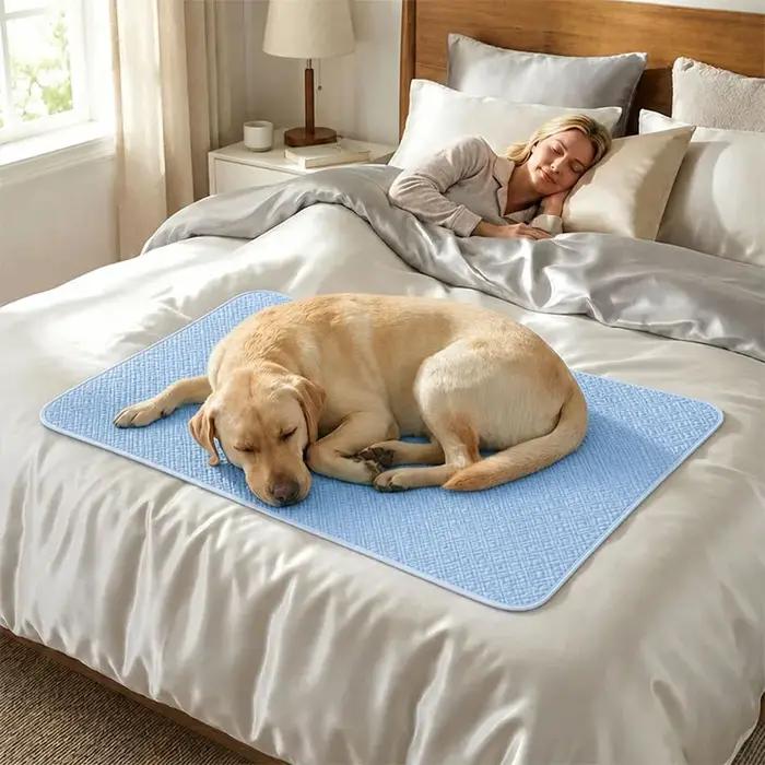 Tapis Rafraîchissant pour Chien, Lit Froid d'Été pour Animaux de Compagnie, Très Grand, pour Petits et Grands Chiens, Accessoires pour Animaux, Couverture Durable pour Chat, Coussin Rafraîchissant pou