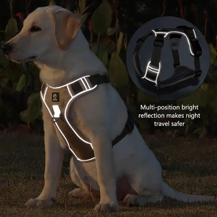 Harnais réfléchissant pour chiens sécurité confortable pour promenade nuit et grandes aventures