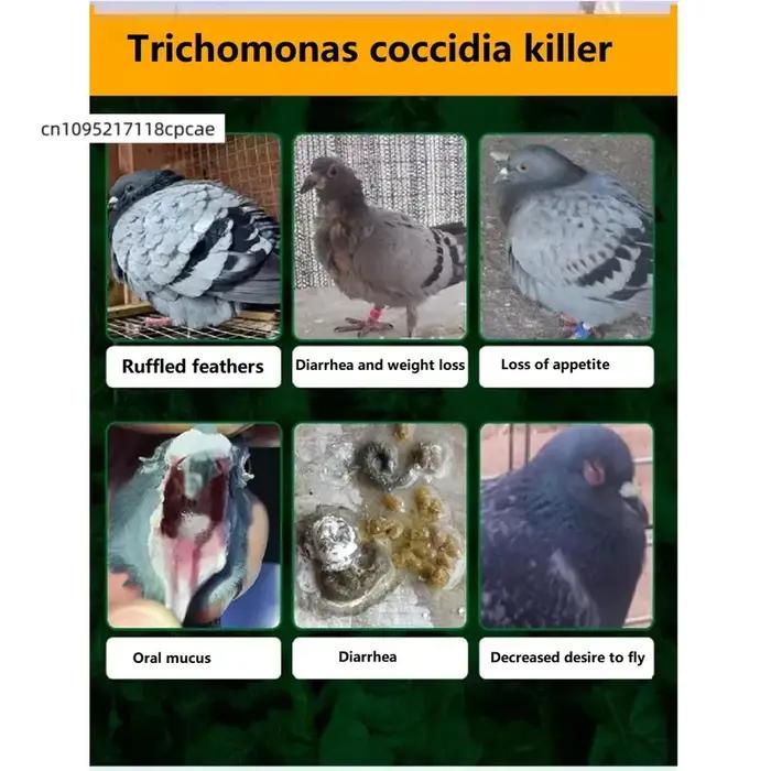 Trichomonas pigeon coccidia : infection deux-en-un, troubles digestifs, selles nodulaires, 100 comprimés