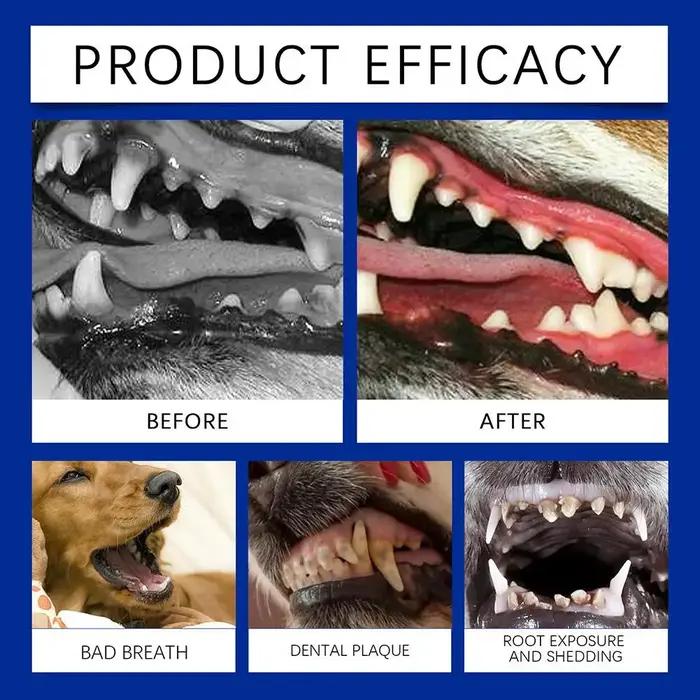 Poudre de nettoyage des dents naturelle pour chiens et chats prévention des maladies bucco-dentaires usage quotidien entretien facile haleine fraîche et dents saines