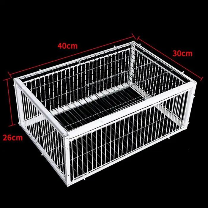 Piège à pigeons pour grands jardins, fournitures pour oiseaux, grand évasion, garages jetables, 15.75 po x 11.81 po x 10.24 po