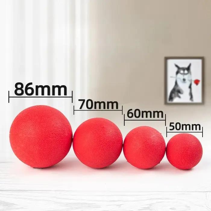 Balles en caoutchouc dures et solides pour chien
