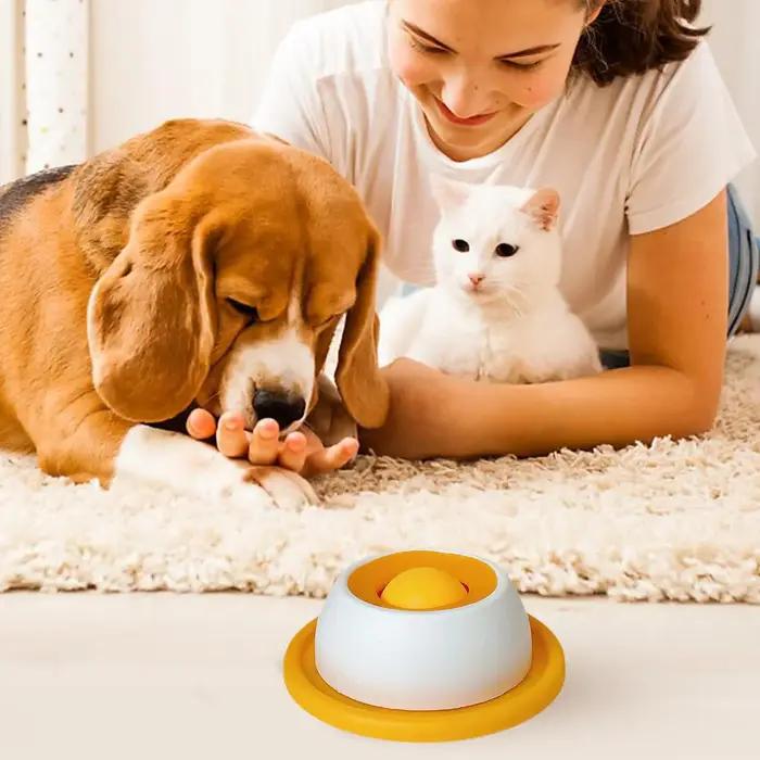 Jouet pour chien, accessoires d'alimentation pour animaux de compagnie