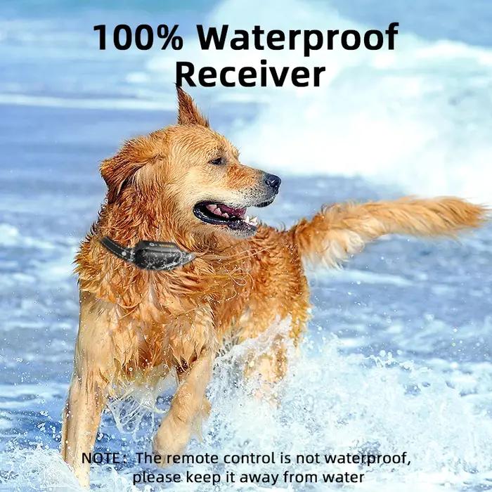 ROJECO – collier d'entraînement électrique pour chien