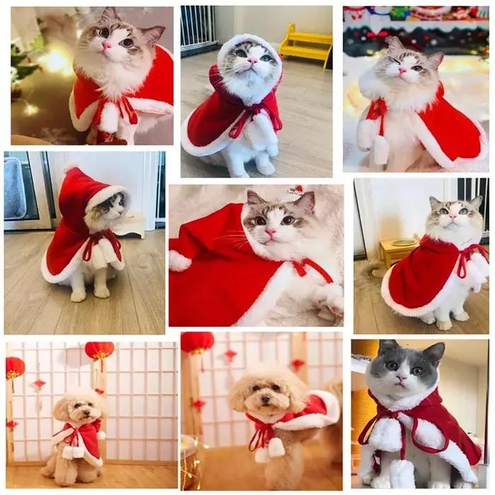 Costume drôle de père Noël pour chiens et chats