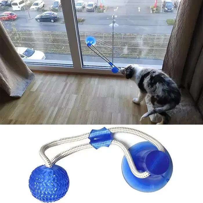 Jouet interactif pour chien avec ventouse puissante et corde de traction