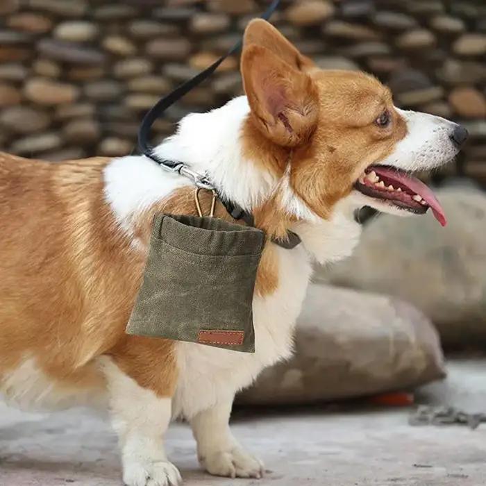 Sacs à friandises pour l'entraînement des chiens