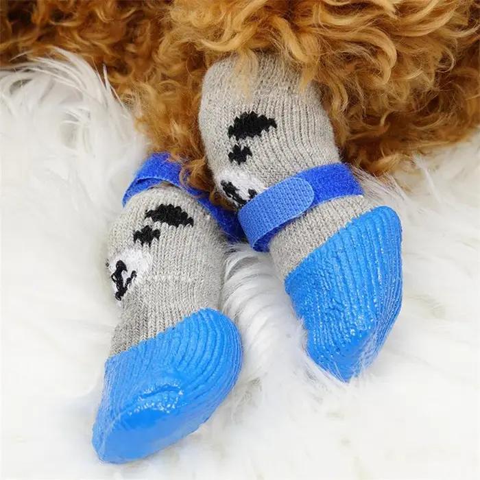 Chien chat bottes chaussures chaussettes imperméable