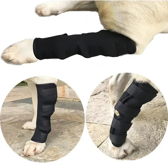 Genouillères de protection de coude pour chien