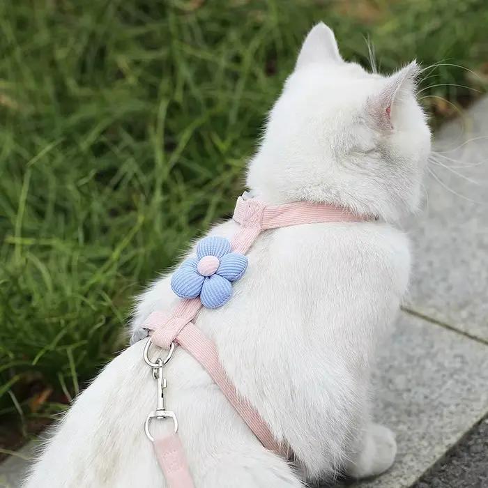 Ensembles de harnais et de laisse pour chat, harnais réglable pour petit chien, harnais pour animaux de compagnie, sangle de marche, accessoire pour chat