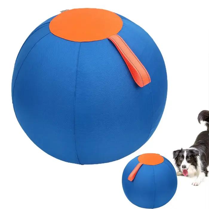 Jouet de dressage pour chiens : balle d'entraînement