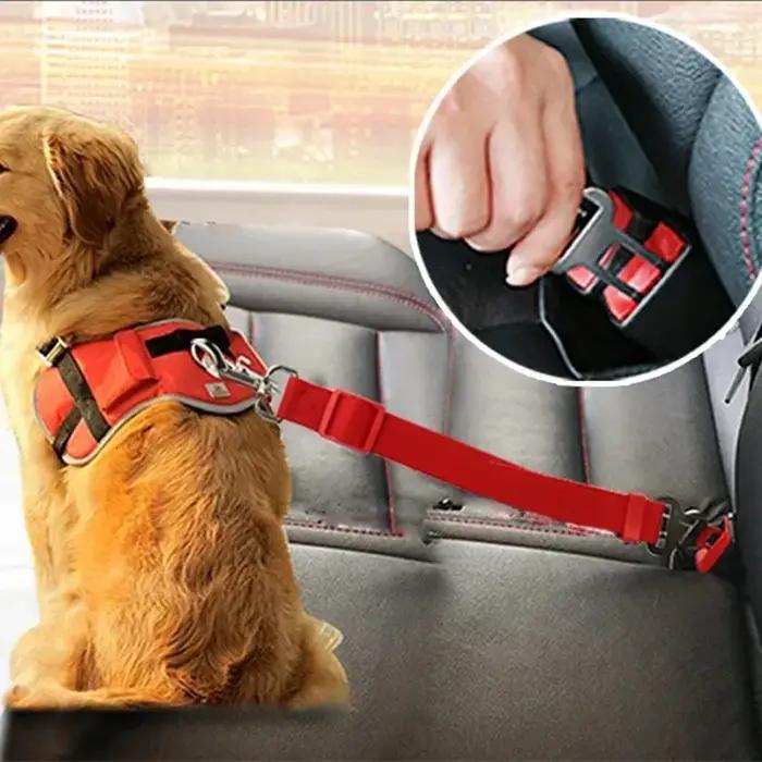 Ceinture de sécurité pour chien en nylon