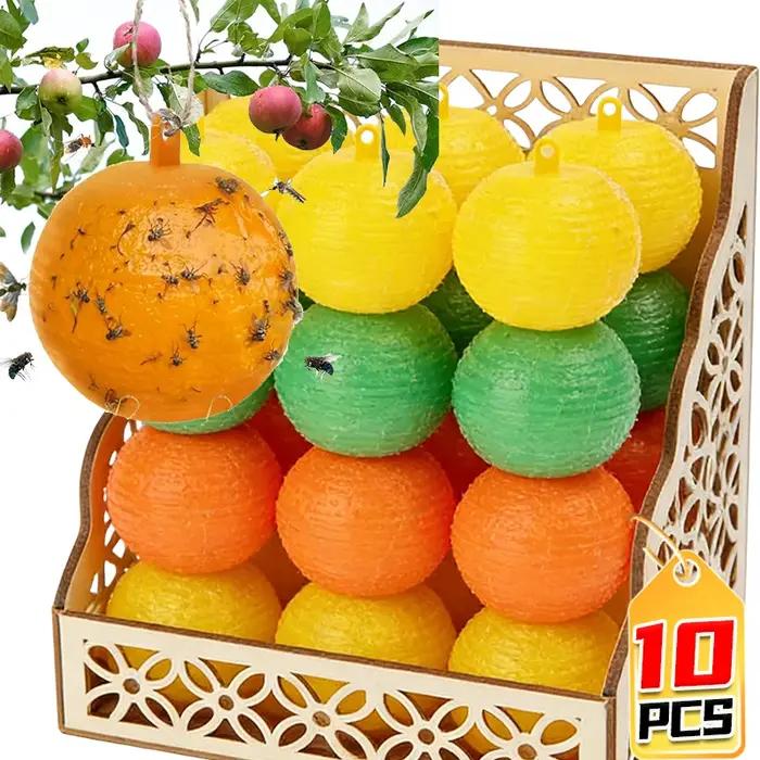 Piège à mouches à fruits en boule