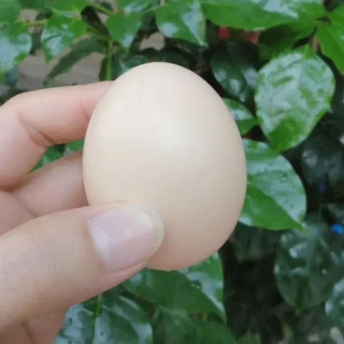 5/10 pièces oeuf à couver poule de pâques volaille trappe élevage Simulation faux oeufs artificiels en plastique