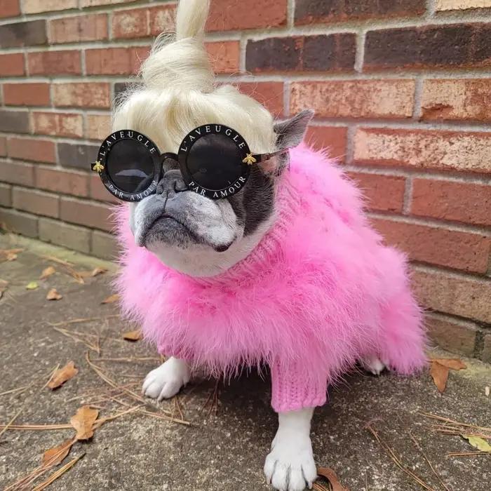 INS nouvelles dames européennes et américaines dinde cheveux automne et hiver chaud chien pull animal de compagnie