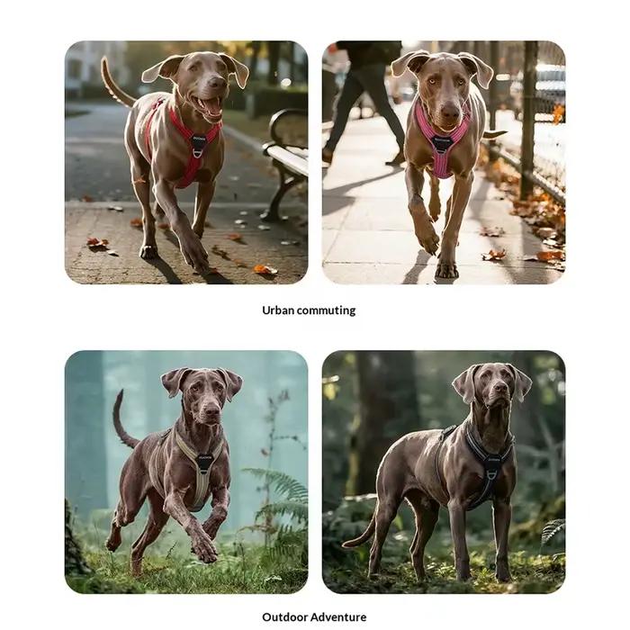 Harnais de poitrine pour chien avec laisse, bande réfléchissante, durable, réglable, souple et léger, pour la promenade en extérieur, empêche le tiraillement du chien