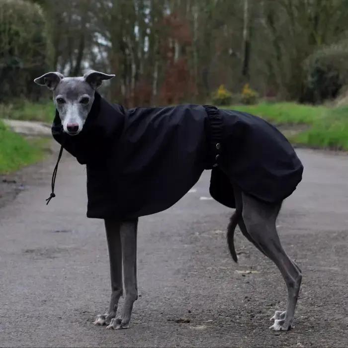 Imperméable pour chiens, confortable et respirant, imperméable pour chiots, vêtements imperméables p