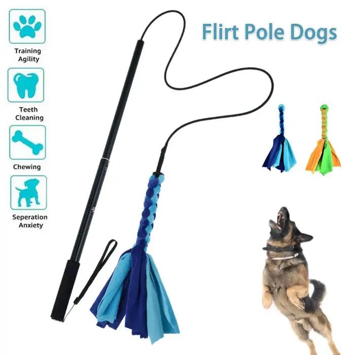 Canins flirt leurre pôle bâton jouets animal de compagnie interactif chasse queue Teaser baguette formation corde à
