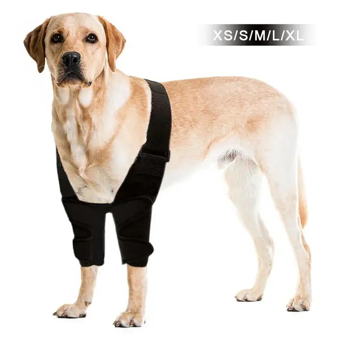 Attelle de protection complète pour coude de chien