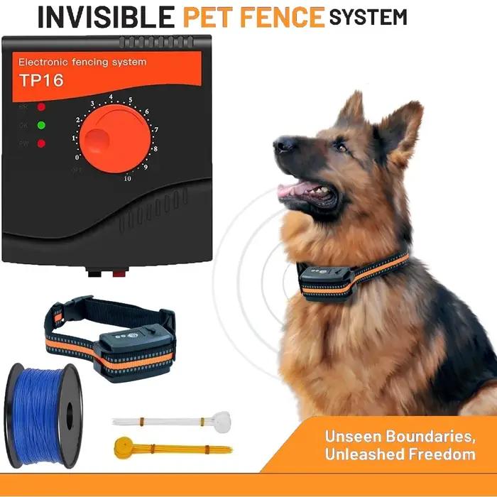 Clôture électrique pour chien filaire au sol