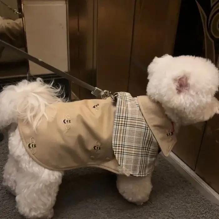 Vêtements pour animaux de compagnie : Cape de chien vintage style détective