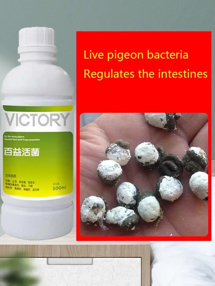 Probiotiques gastro-intestinaux 500ml : Pombes à viande