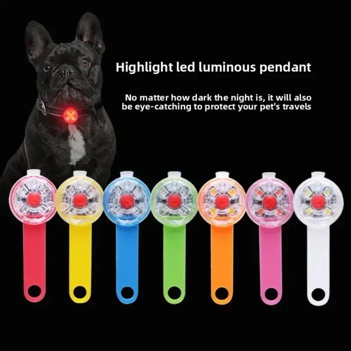 Collier de chien à lumière LED