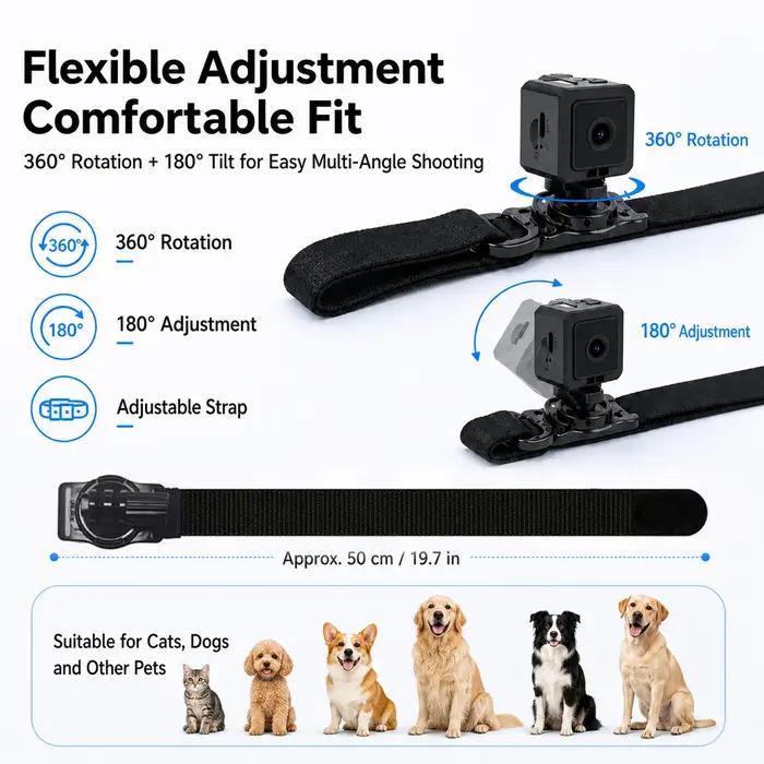 Collier caméra pour animaux de compagnie avec carte SD 64 Go