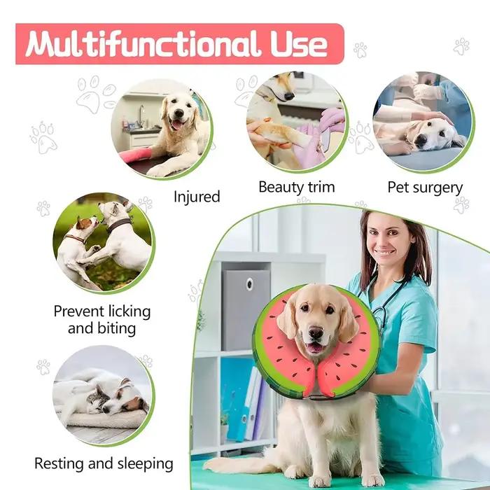 Collier gonflable anti-morsure pour chien