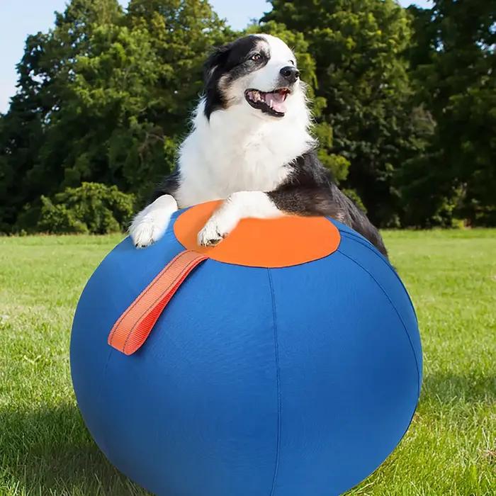 Jouets interactifs pour chiens